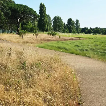 Villarmo Cais * ビアナドカステロ