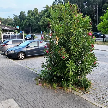 Villarmo Cais Apartman