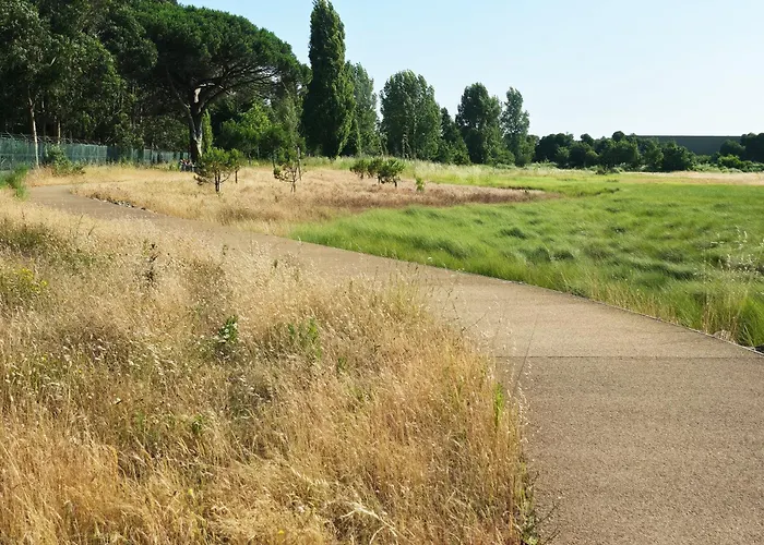 Villarmo Cais * 维亚纳堡