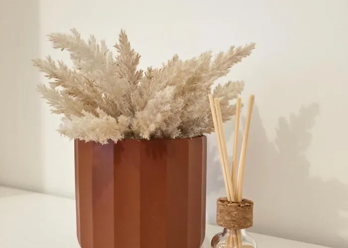 アパート Villarmo Cais ビアナドカステロ